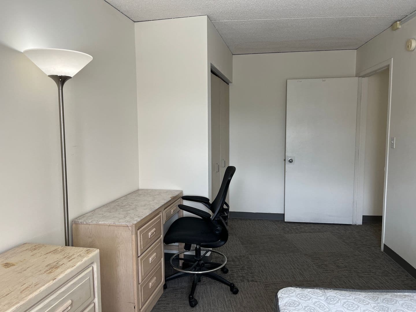 Ithaca Apartment: 110 Dryden Rd