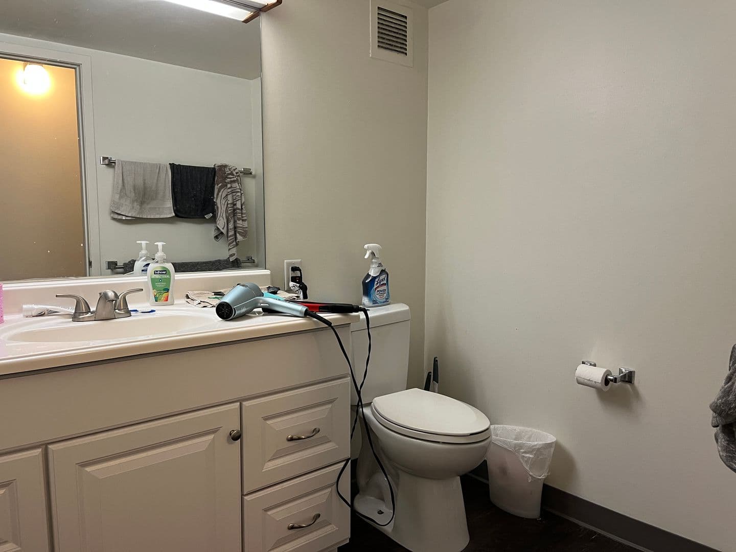 Ithaca Apartment: 110 Dryden Rd