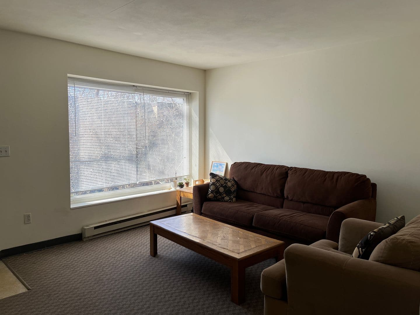 Ithaca Apartment: 516 University Ave