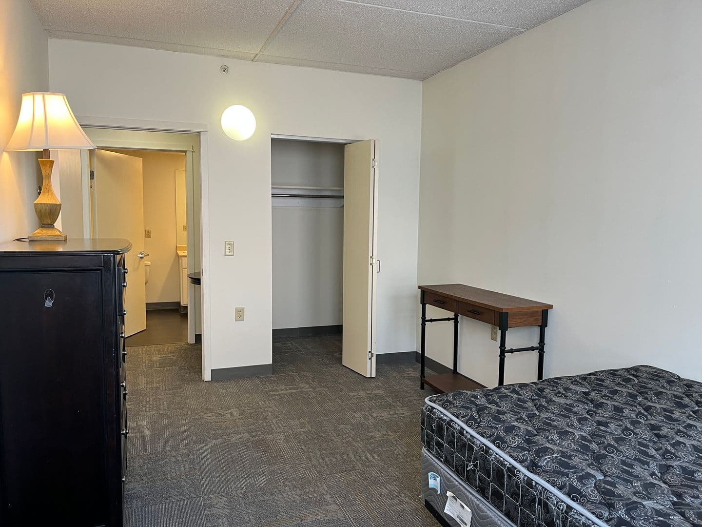 Ithaca Apartment: 407 College Ave