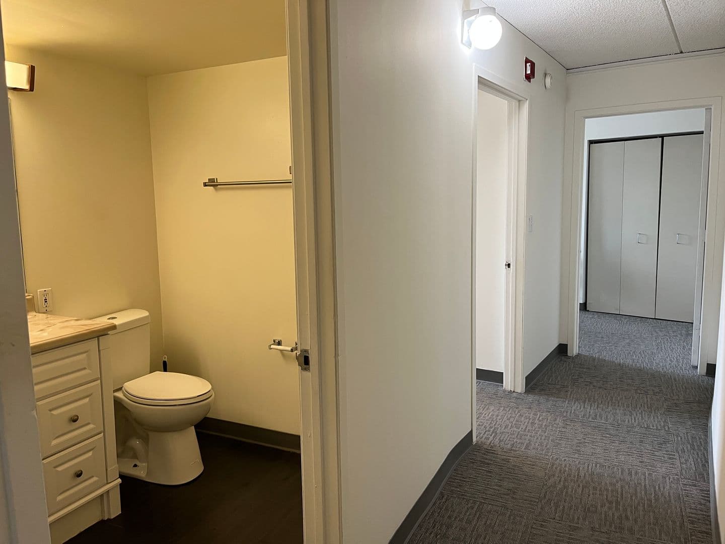 Ithaca Apartment: 110 Dryden Rd
