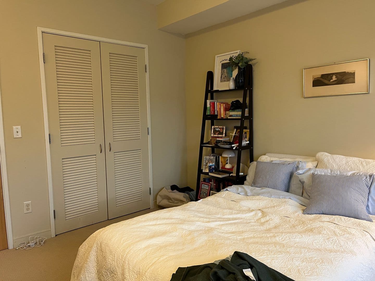 Ithaca Apartment: 311 E Green