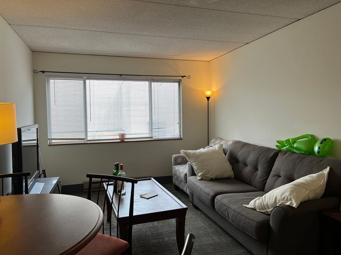 Ithaca Apartment: 110 Dryden Rd