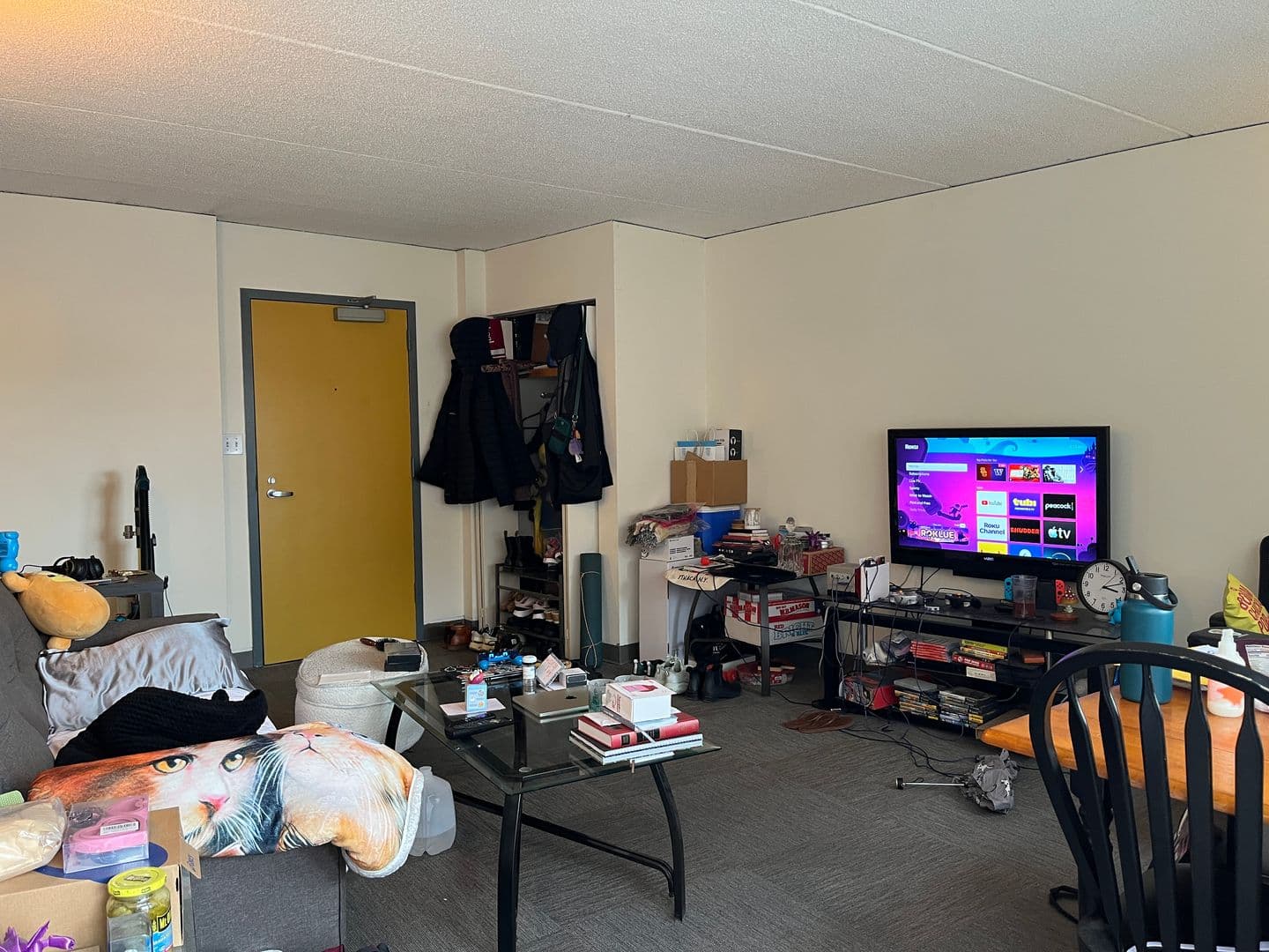 Ithaca Apartment: 110 Dryden Rd