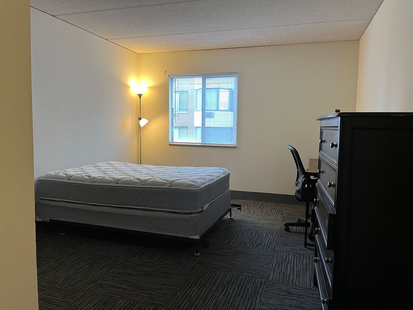 Ithaca Apartment: 110 Dryden Rd