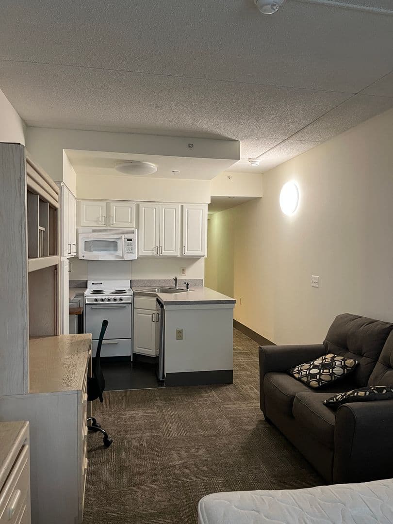 Ithaca Apartment: 407 College Ave