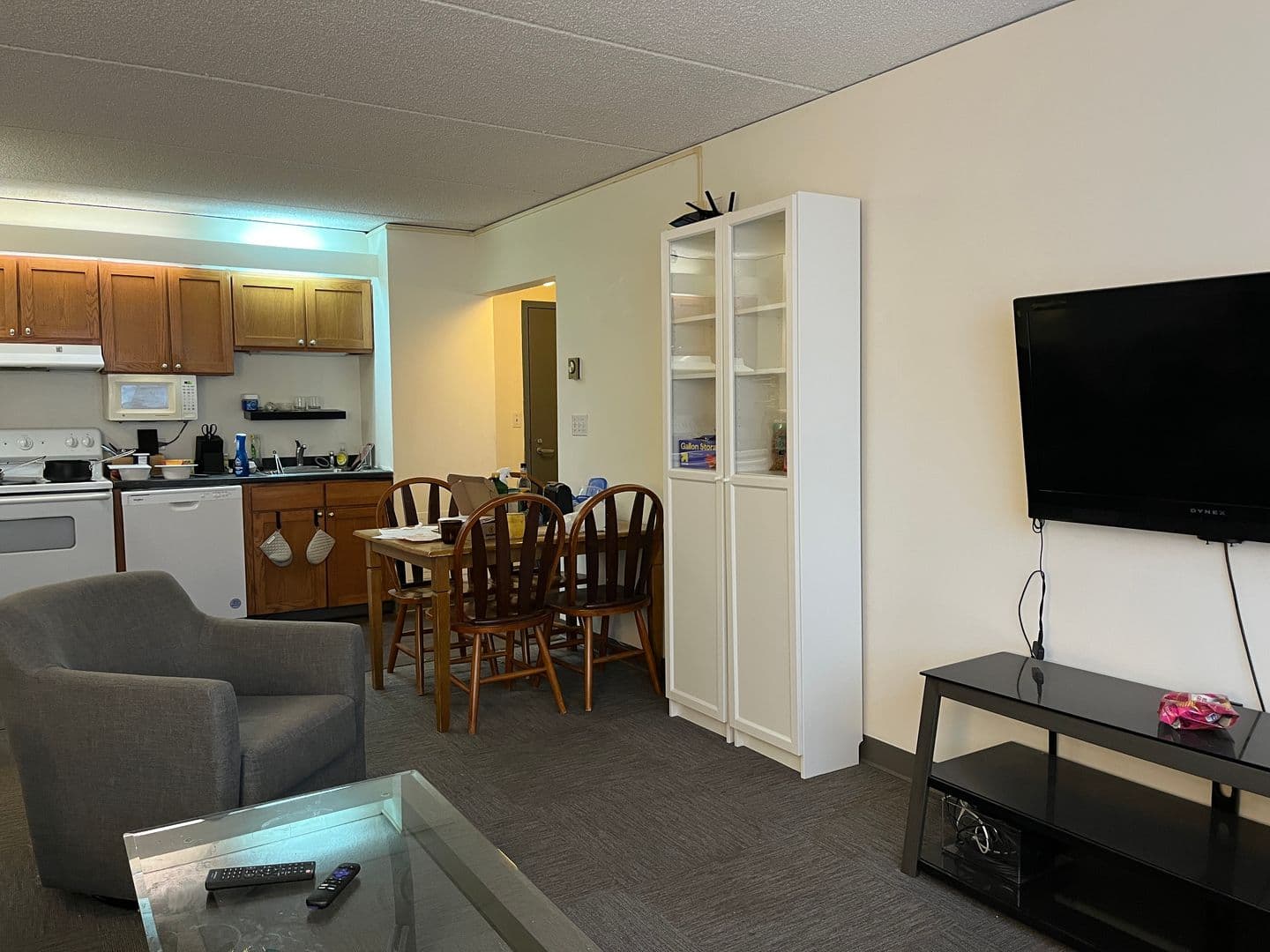 Ithaca Apartment: 110 Dryden Rd