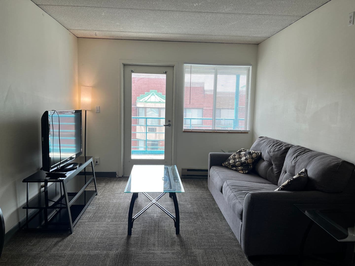 Ithaca Apartment: 110 Dryden Rd
