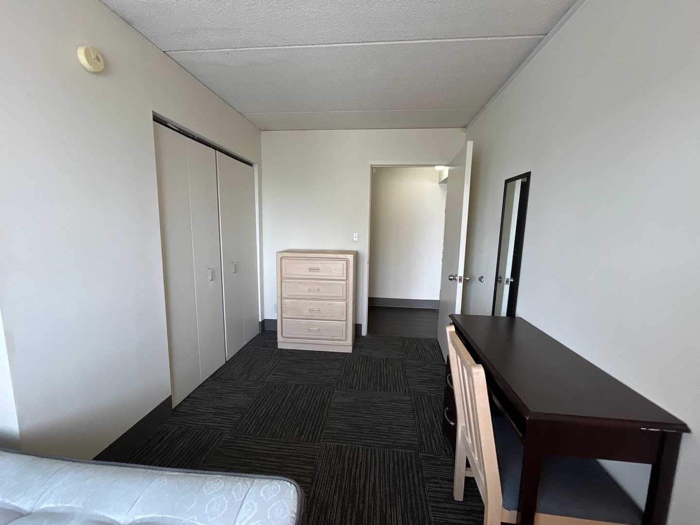 Ithaca Apartment: 110 Dryden Rd