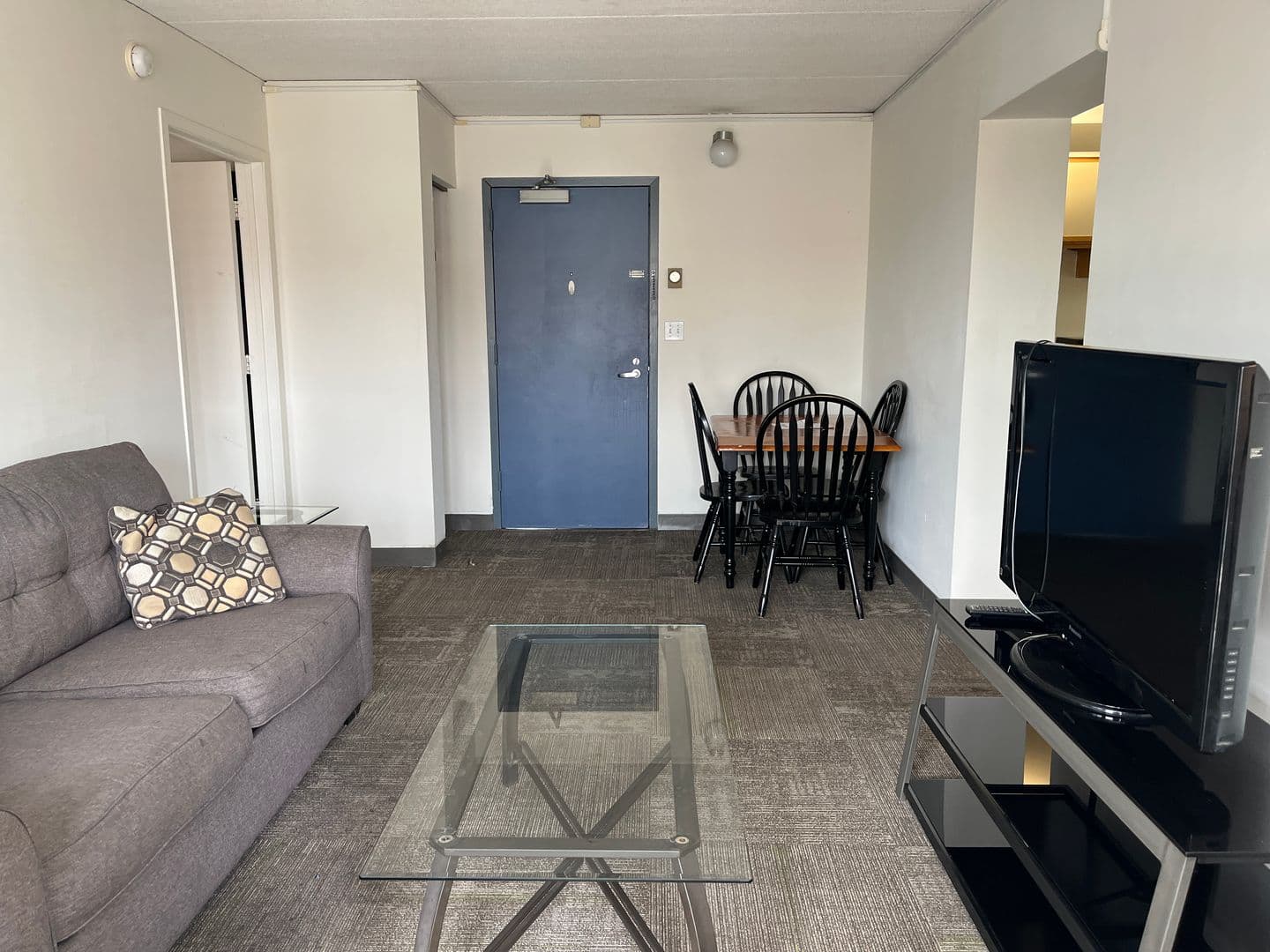 Ithaca Apartment: 110 Dryden Rd