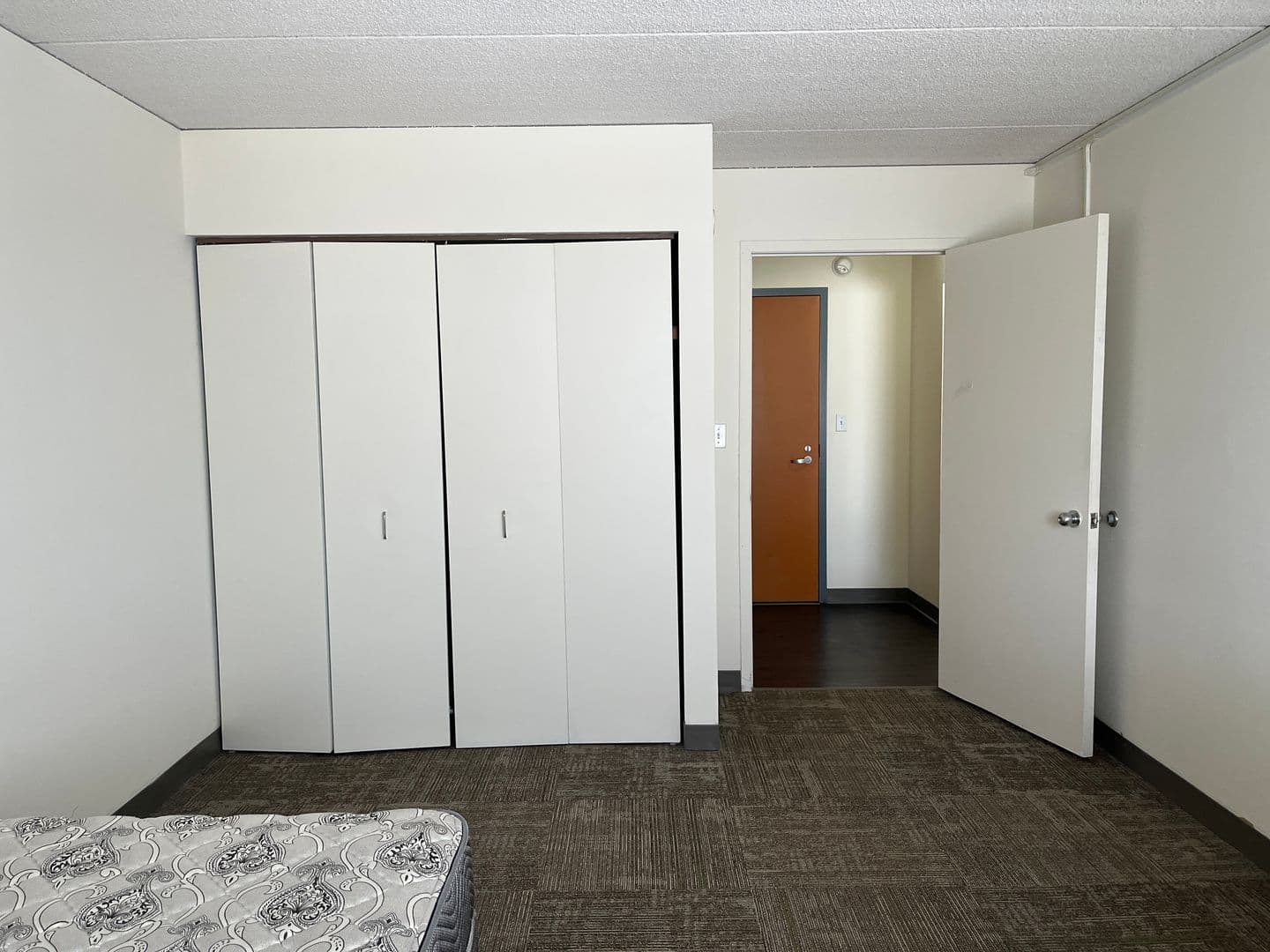 Ithaca Apartment: 110 Dryden Rd
