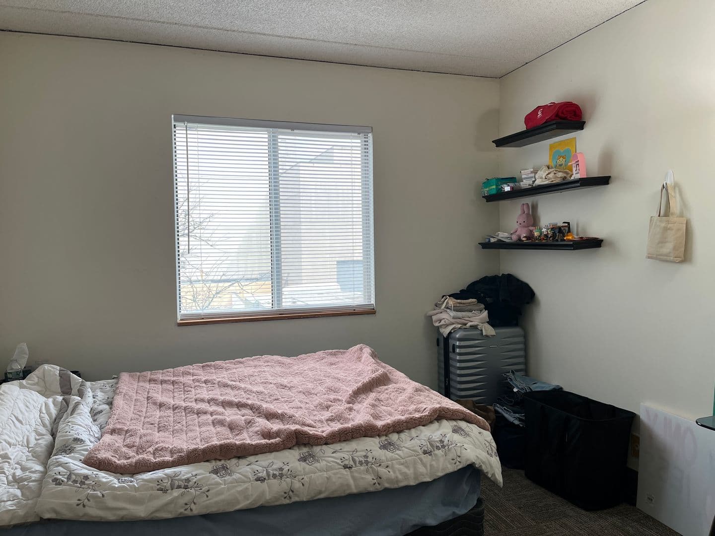 Ithaca Apartment: 110 Dryden Rd