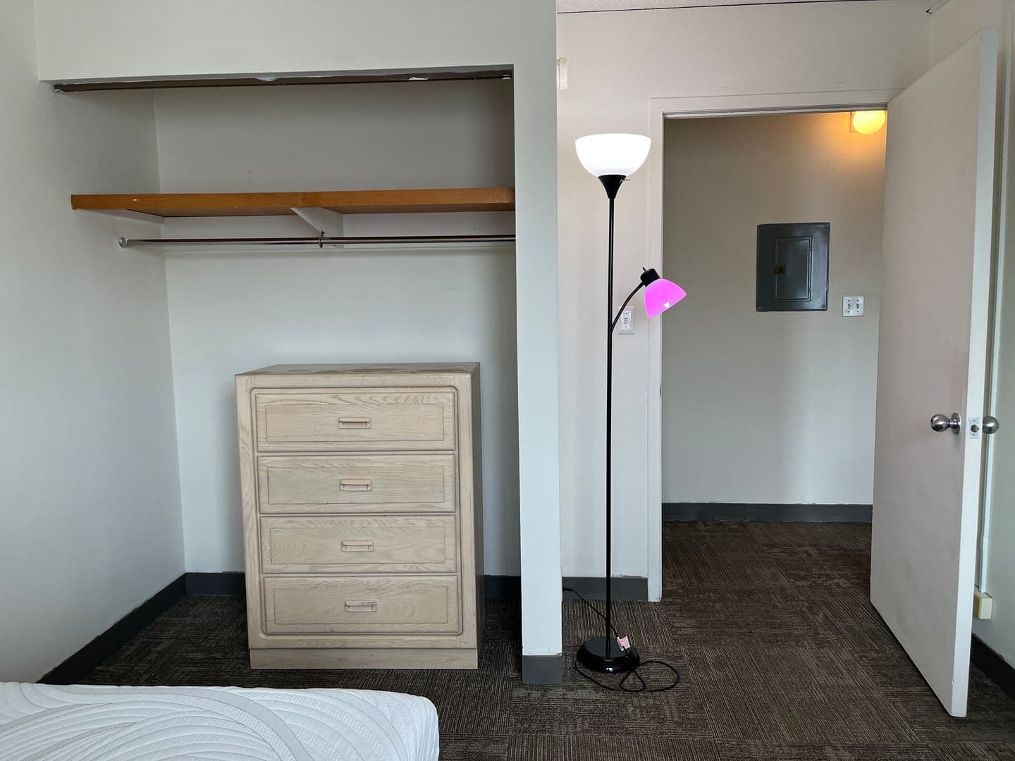 Ithaca Apartment: 110 Dryden Rd