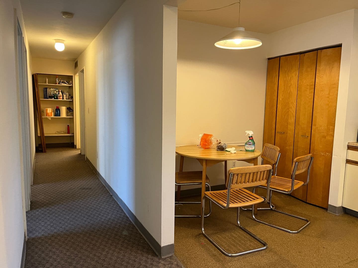 Ithaca Apartment: 516 University Ave