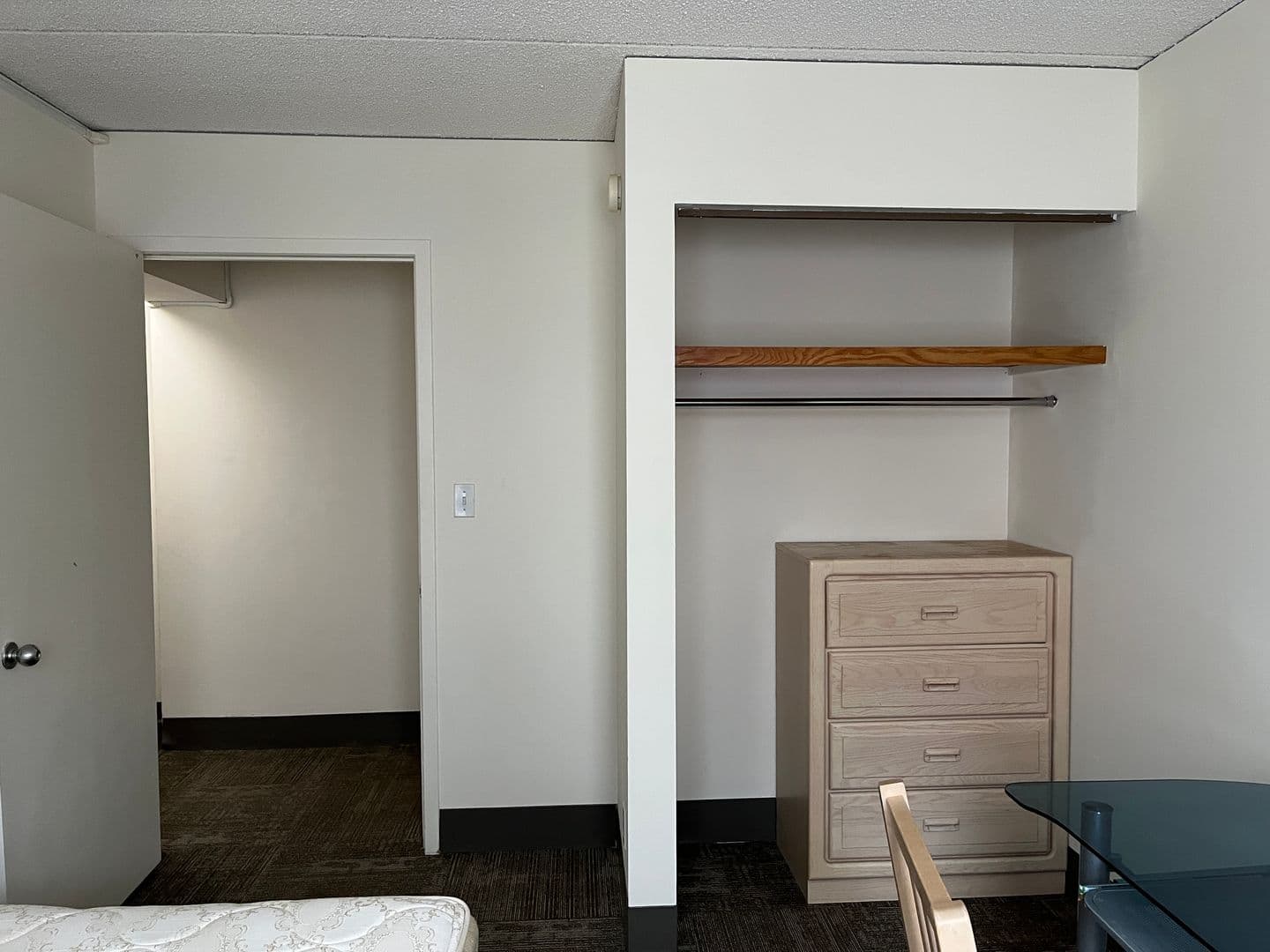 Ithaca Apartment: 110 Dryden Rd