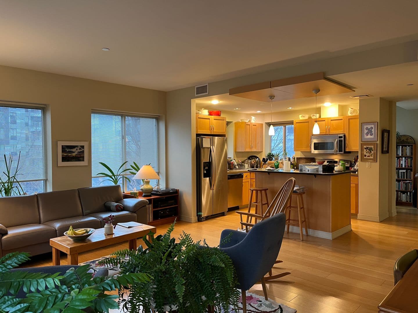 Ithaca Apartment: 311 E Green