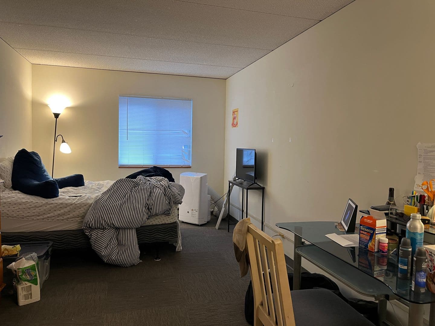 Ithaca Apartment: 110 Dryden Rd