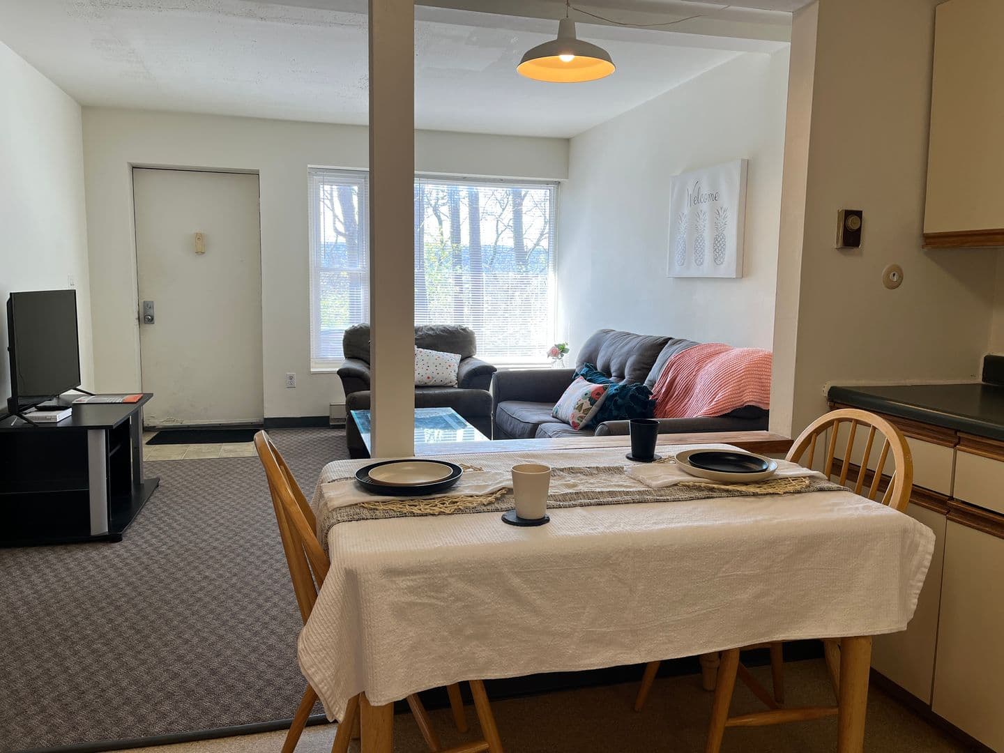 Ithaca Apartment: 516 University Ave