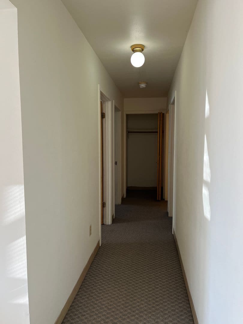 Ithaca Apartment: 516 University Ave