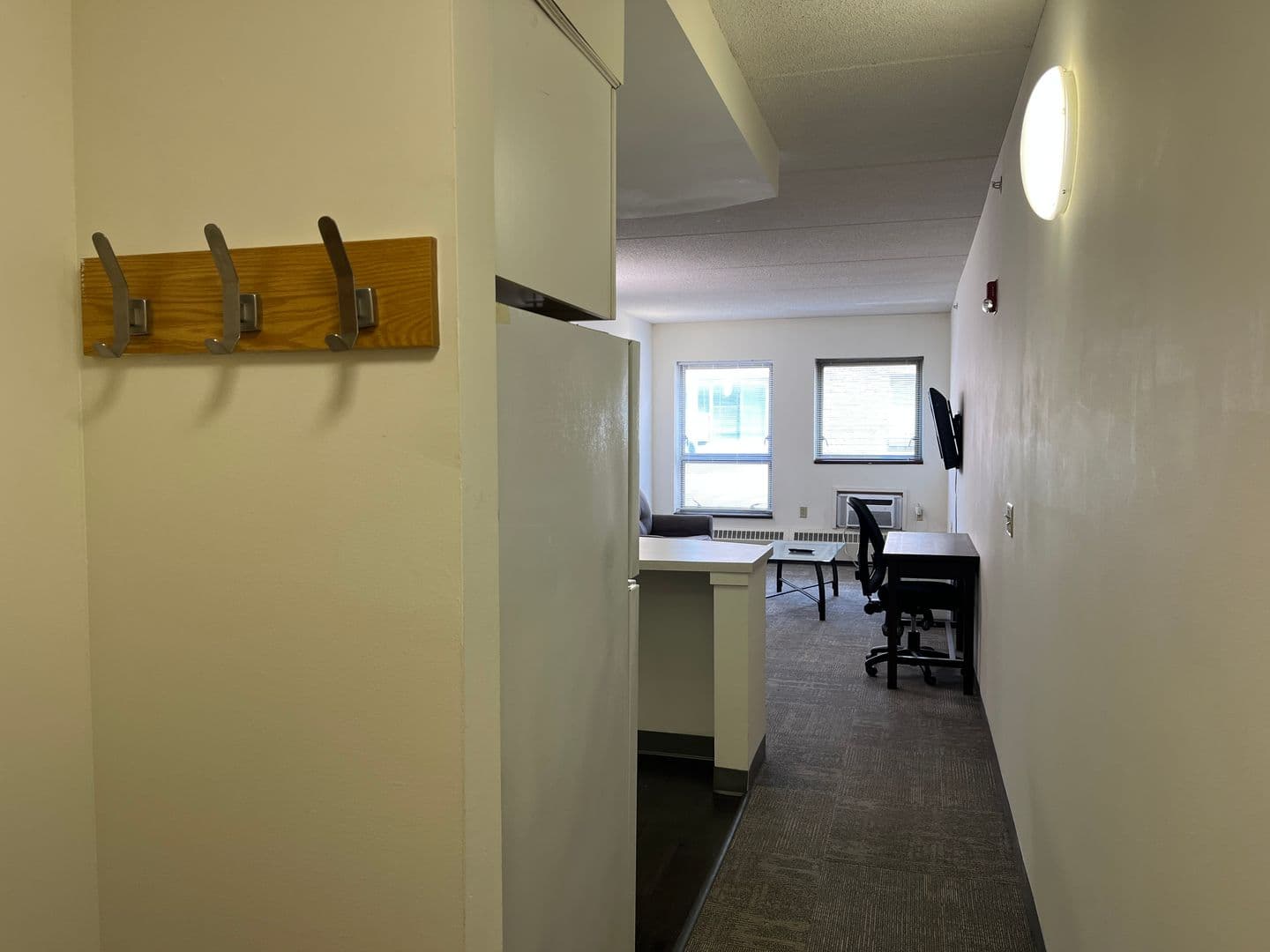 Ithaca Apartment: 407 College Ave
