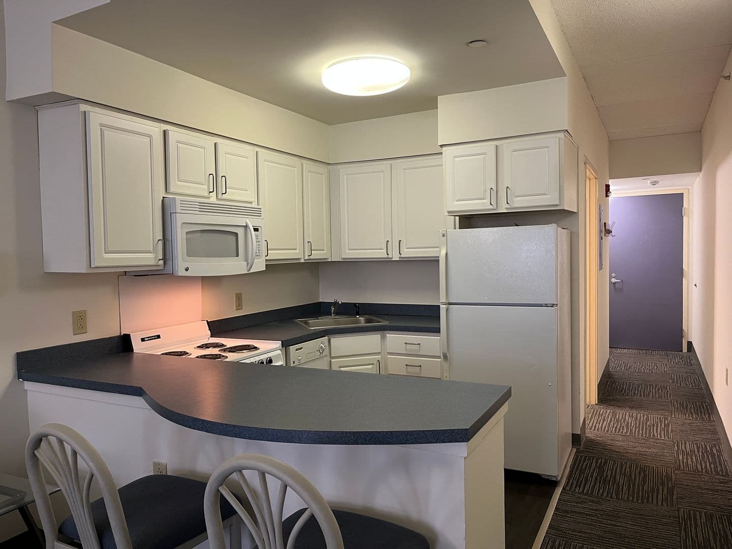 Ithaca Apartment: 407 College Ave