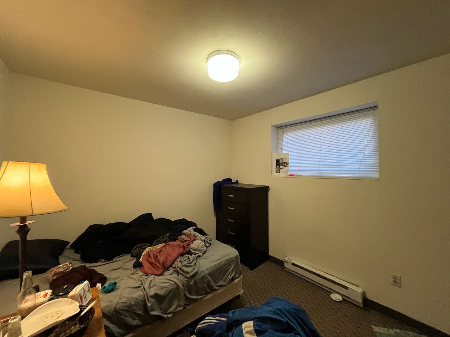 Ithaca Apartment: 516 University Ave