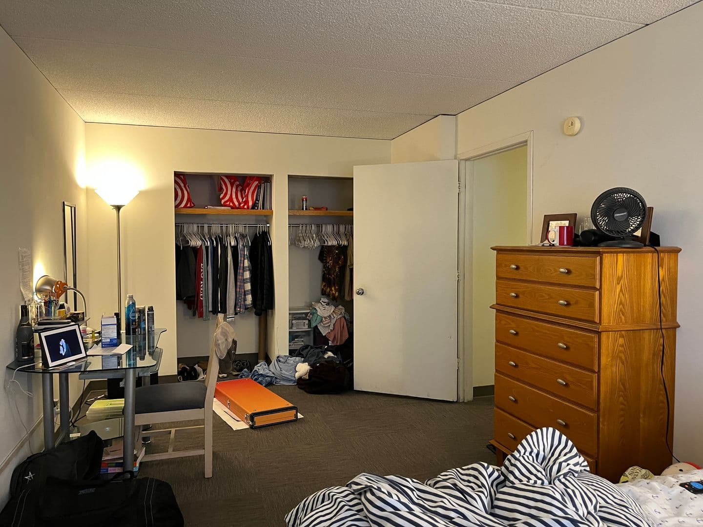 Ithaca Apartment: 110 Dryden Rd
