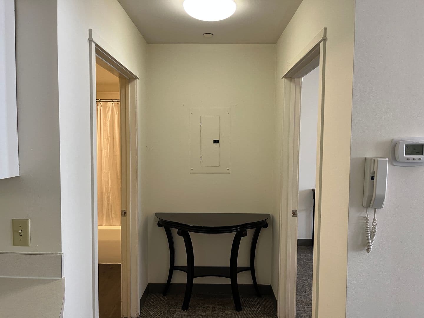 Ithaca Apartment: 407 College Ave