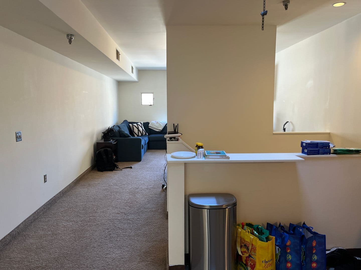 Ithaca Apartment: 171 E State St