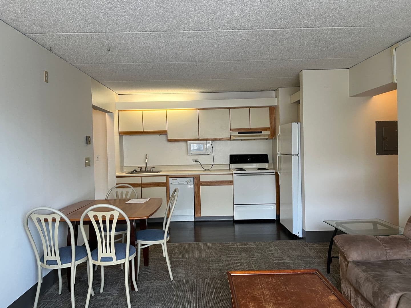 Ithaca Apartment: 110 Dryden Rd