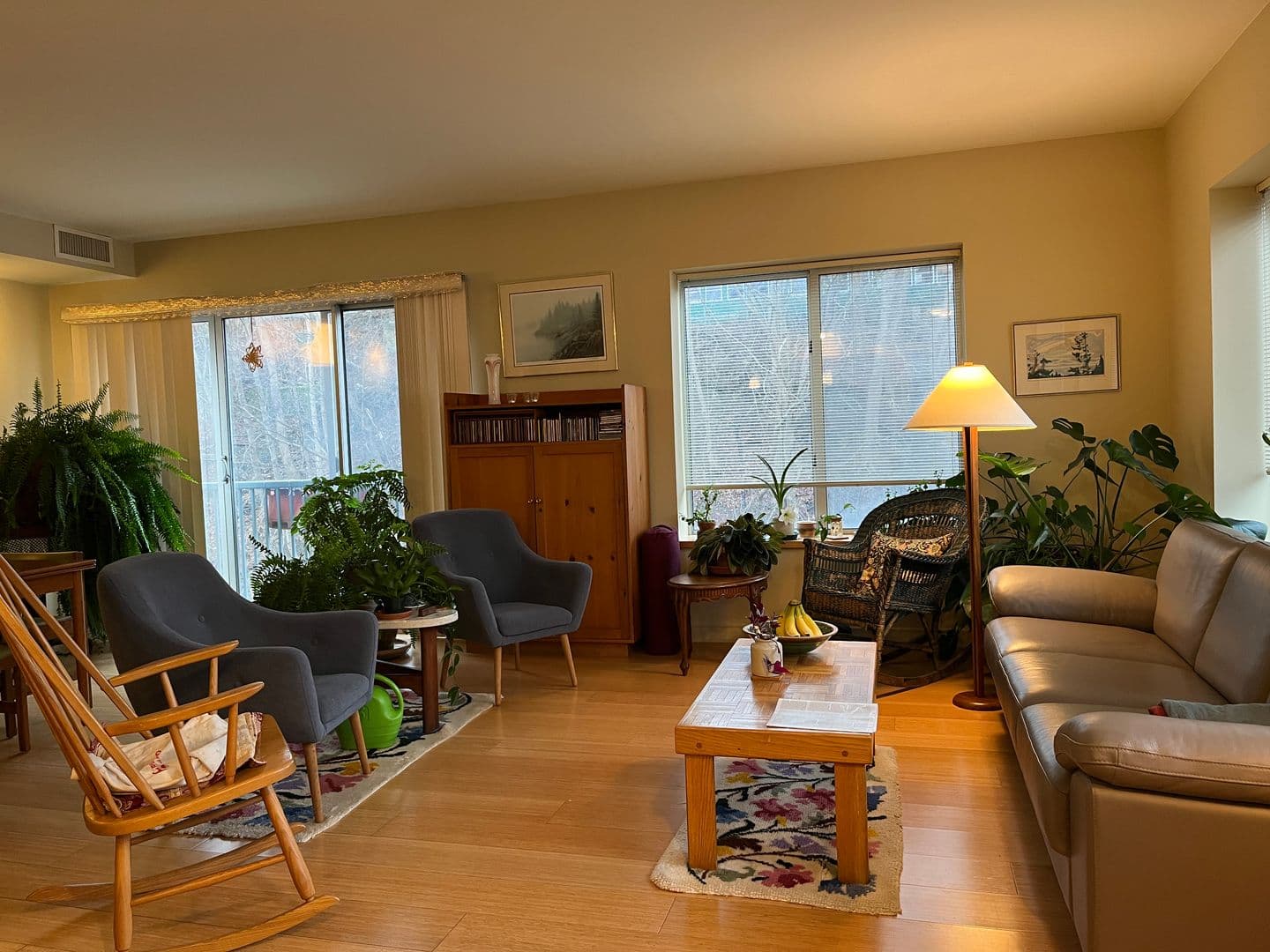 Ithaca Apartment: 311 E Green