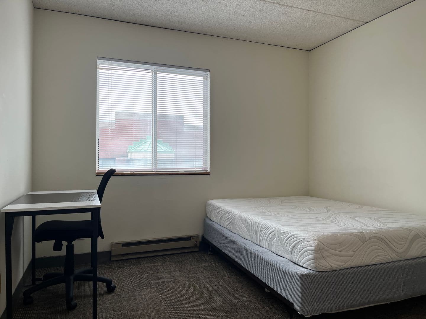 Ithaca Apartment: 110 Dryden Rd