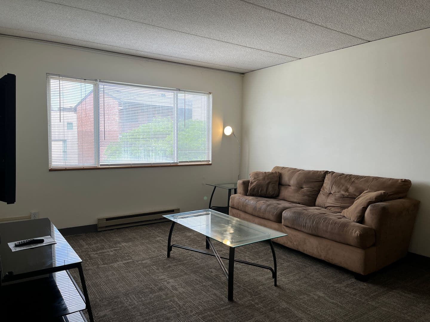 Ithaca Apartment: 110 Dryden Rd