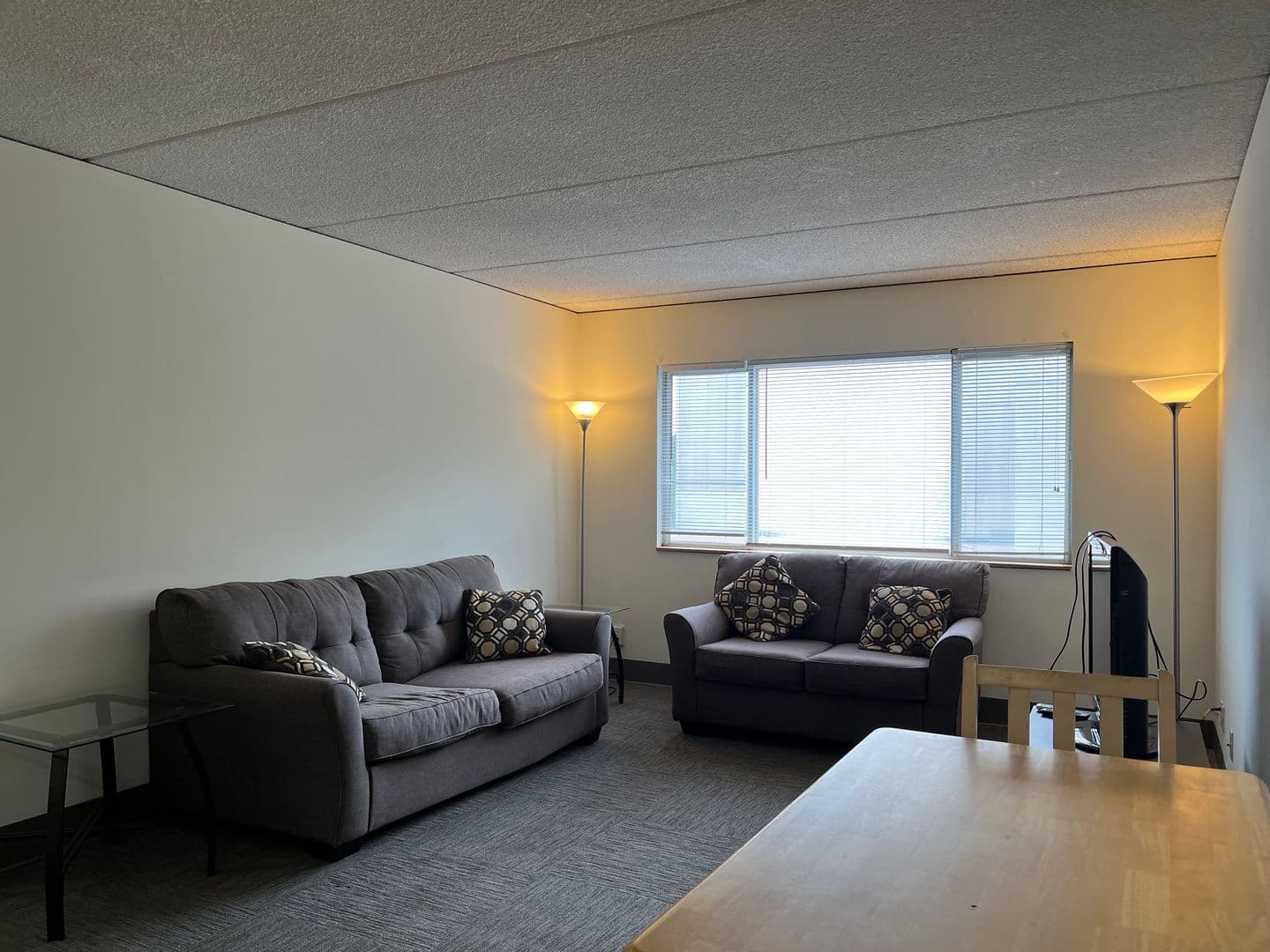 Ithaca Apartment: 110 Dryden Rd
