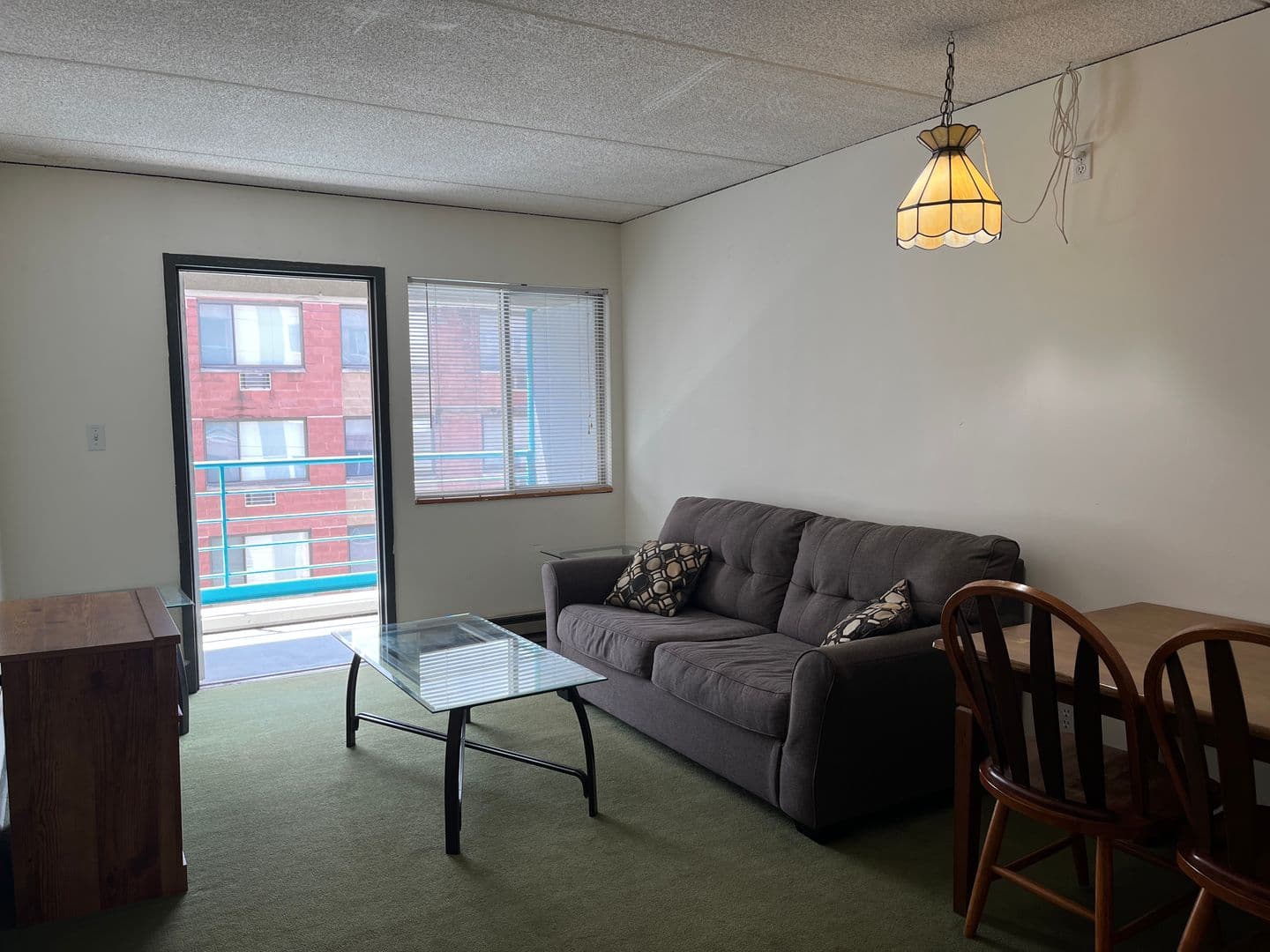 Ithaca Apartment: 110 Dryden Rd