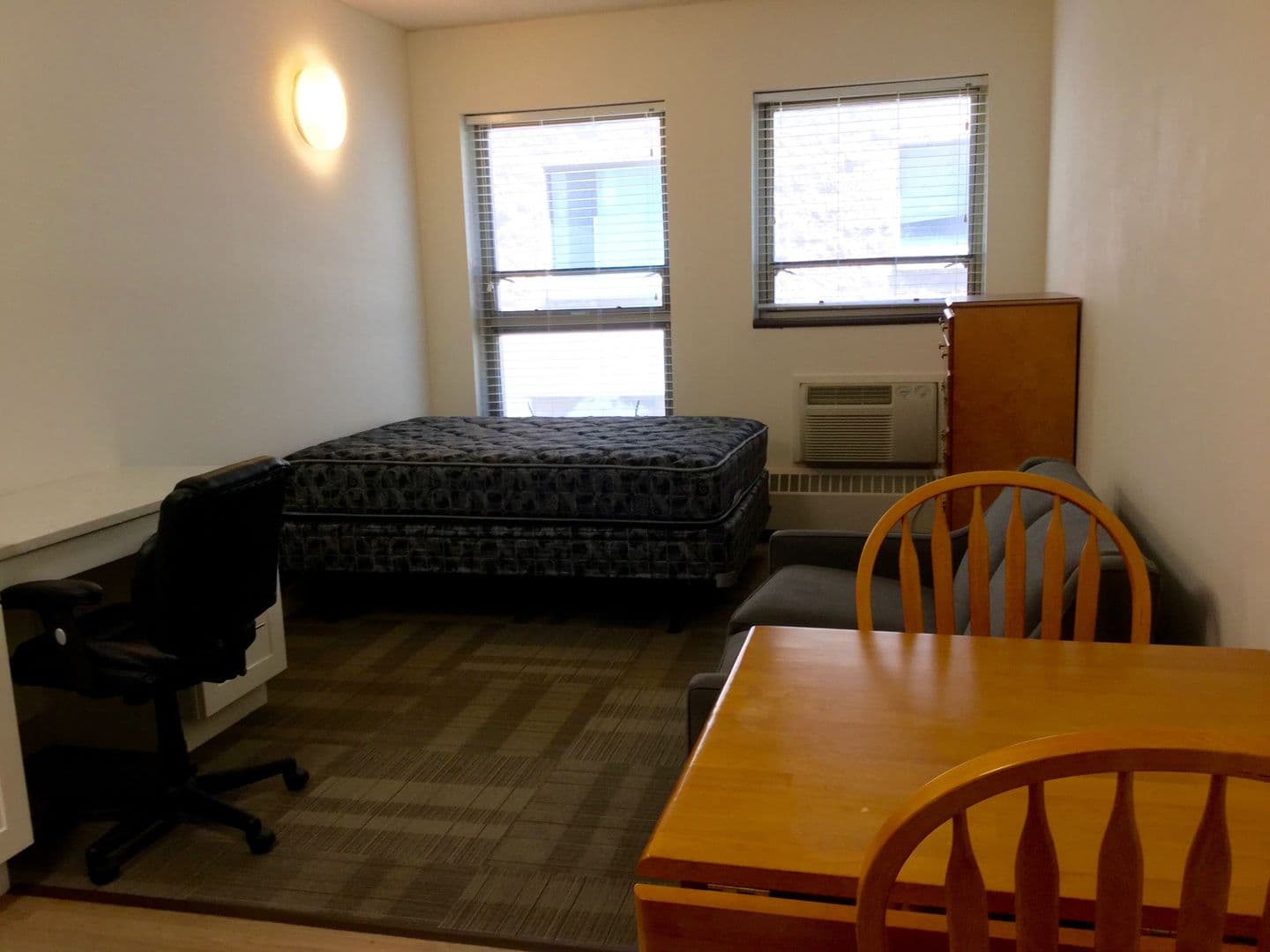 Ithaca Apartment: 407 College Ave