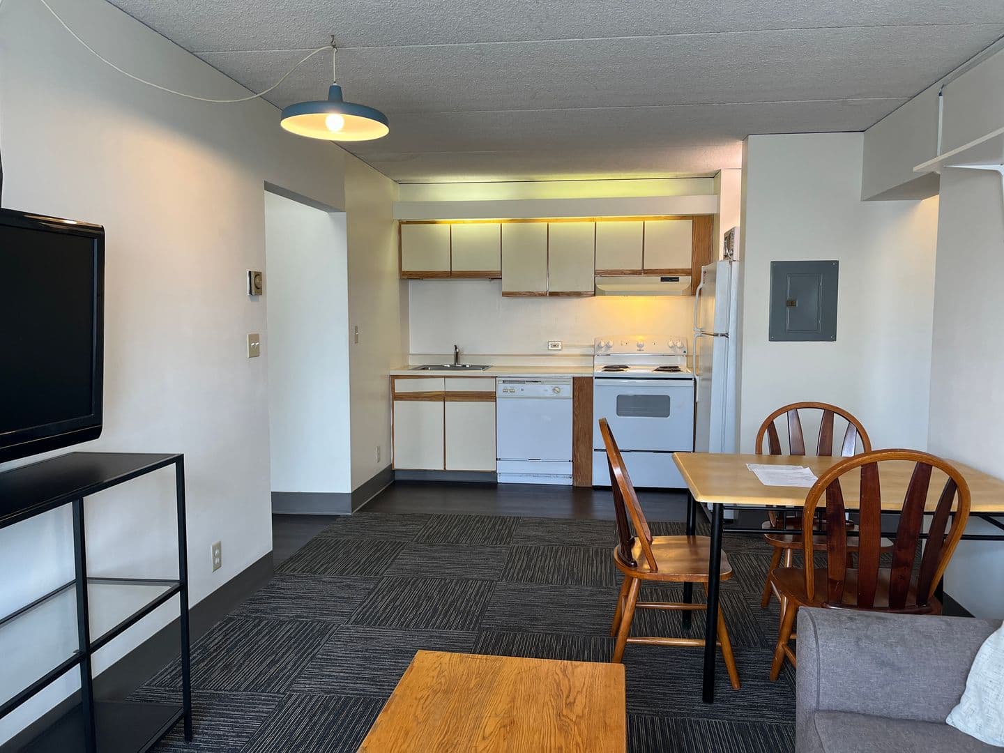 Ithaca Apartment: 110 Dryden Rd