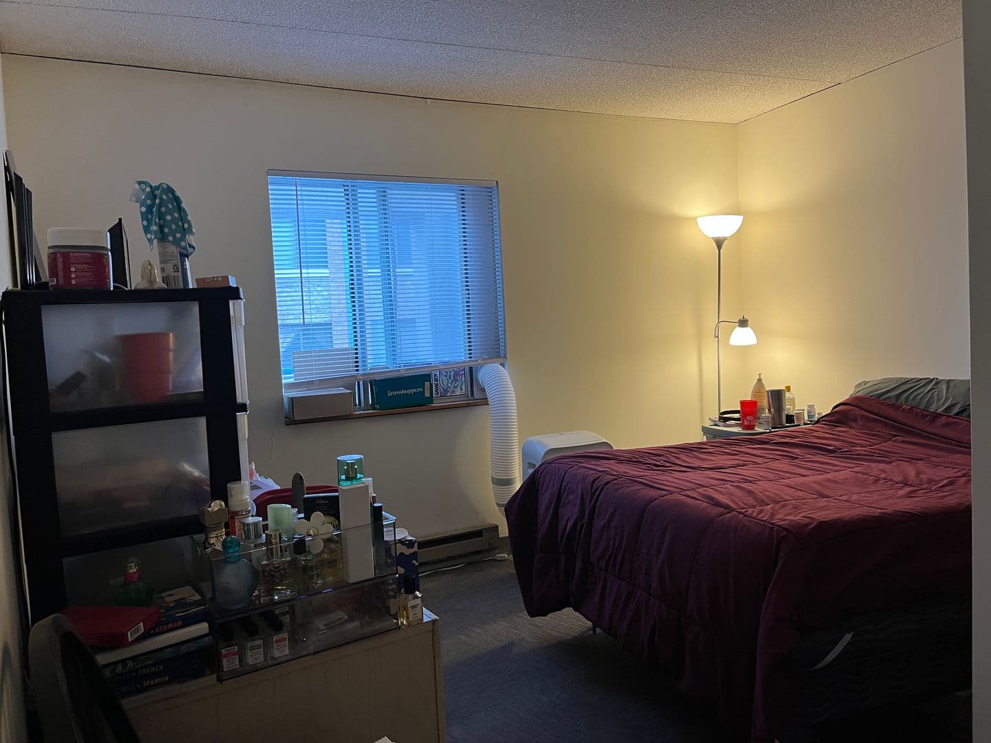 Ithaca Apartment: 110 Dryden Rd