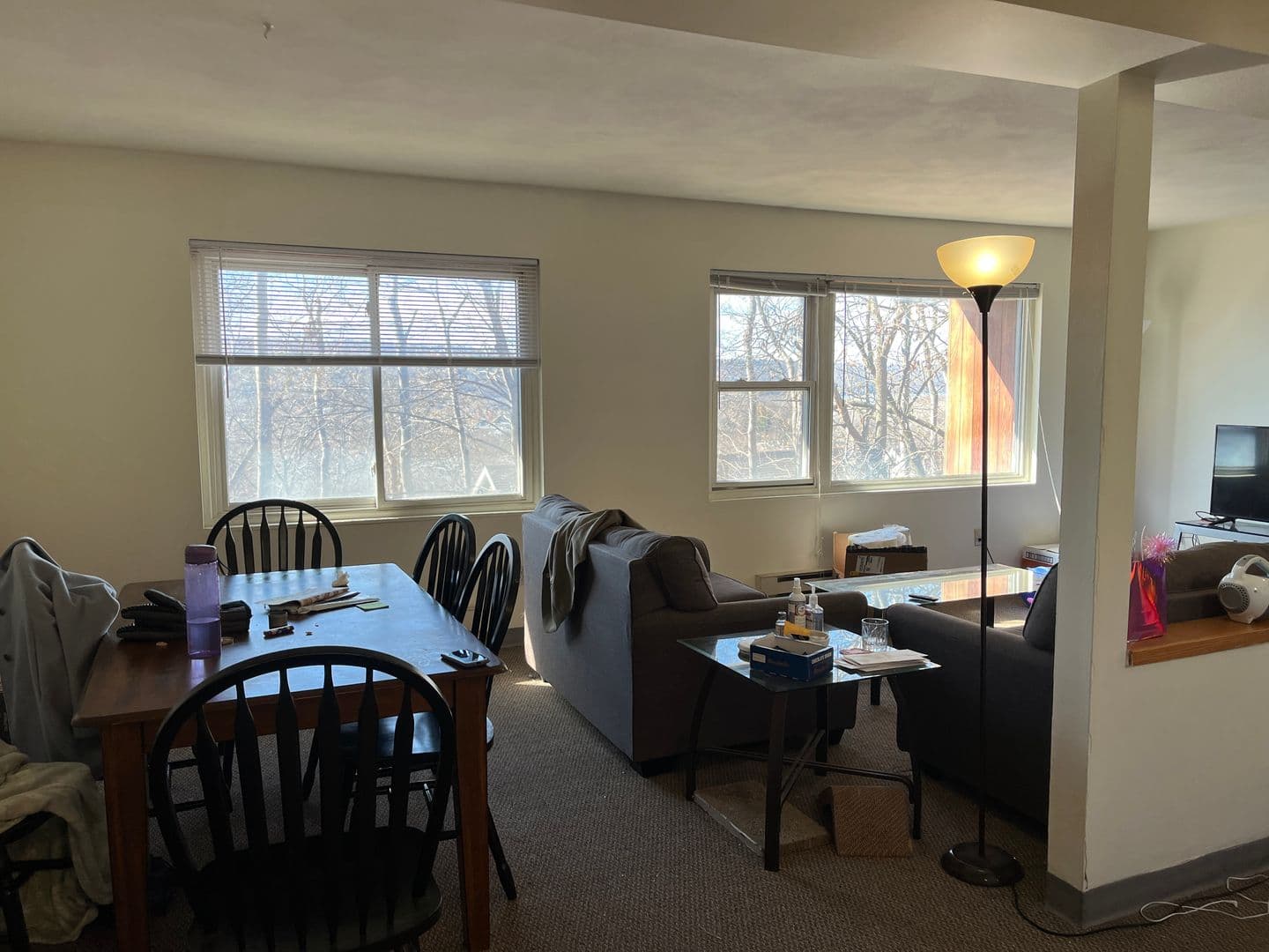 Ithaca Apartment: 516 University Ave