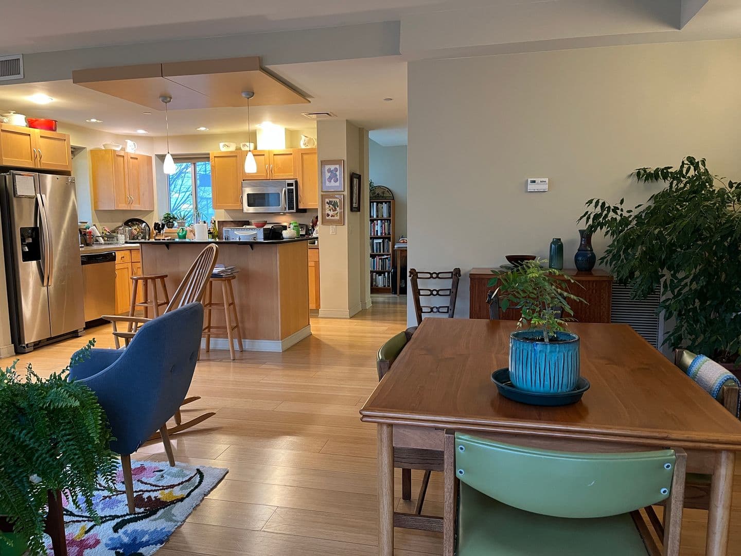 Ithaca Apartment: 311 E Green