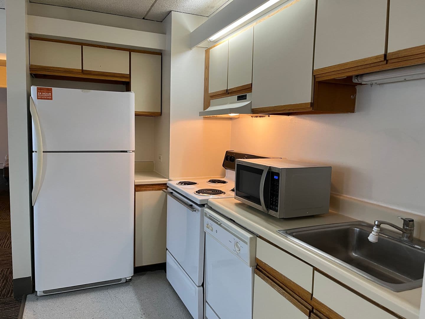 Ithaca Apartment: 110 Dryden Rd