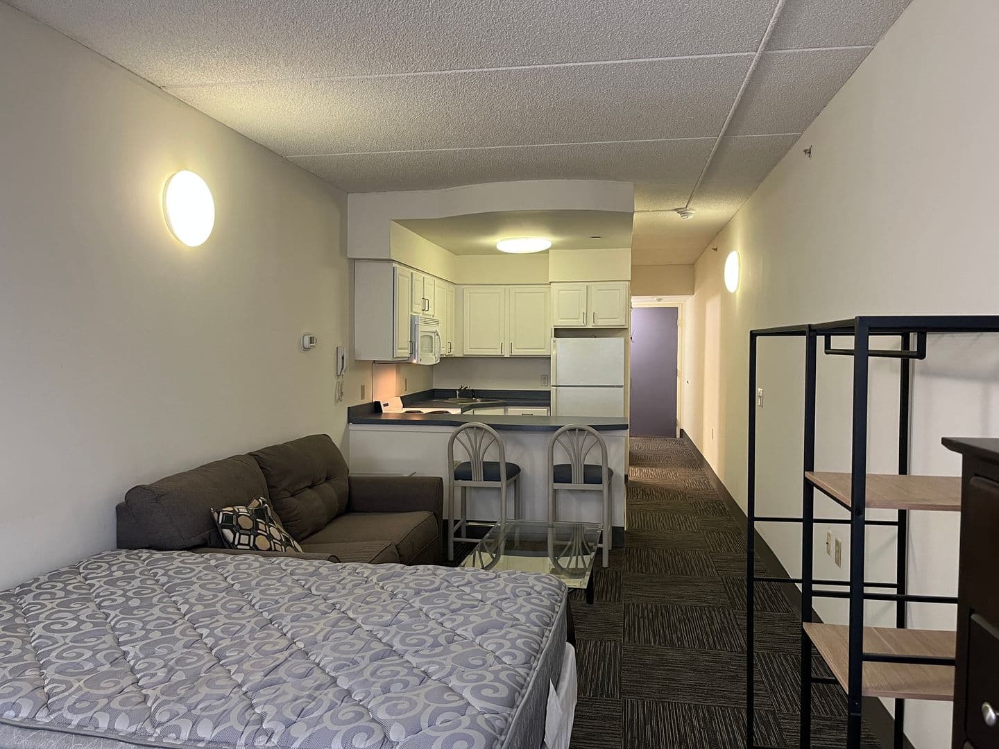 Ithaca Apartment: 407 College Ave