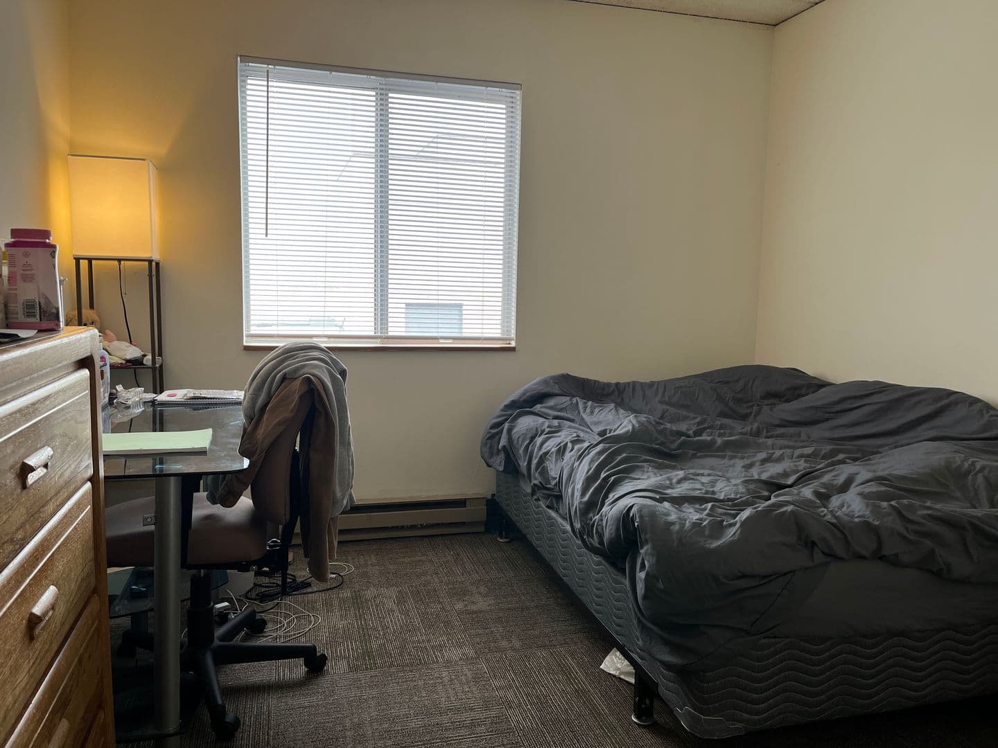 Ithaca Apartment: 110 Dryden Rd