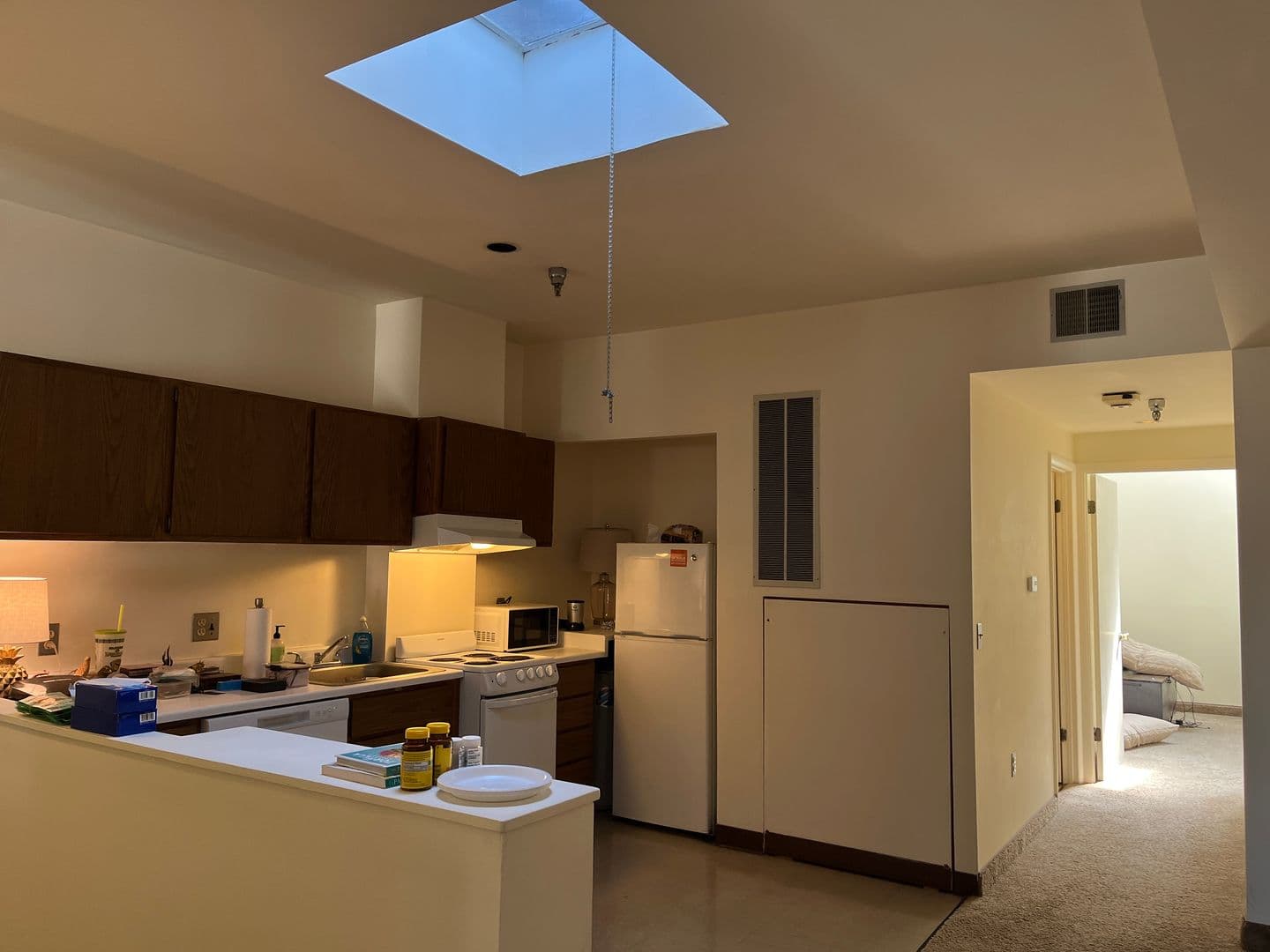 Ithaca Apartment: 171 E State St