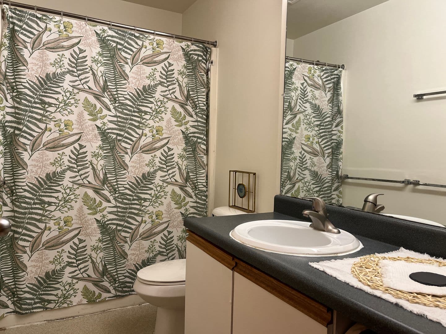 Ithaca Apartment: 516 University Ave