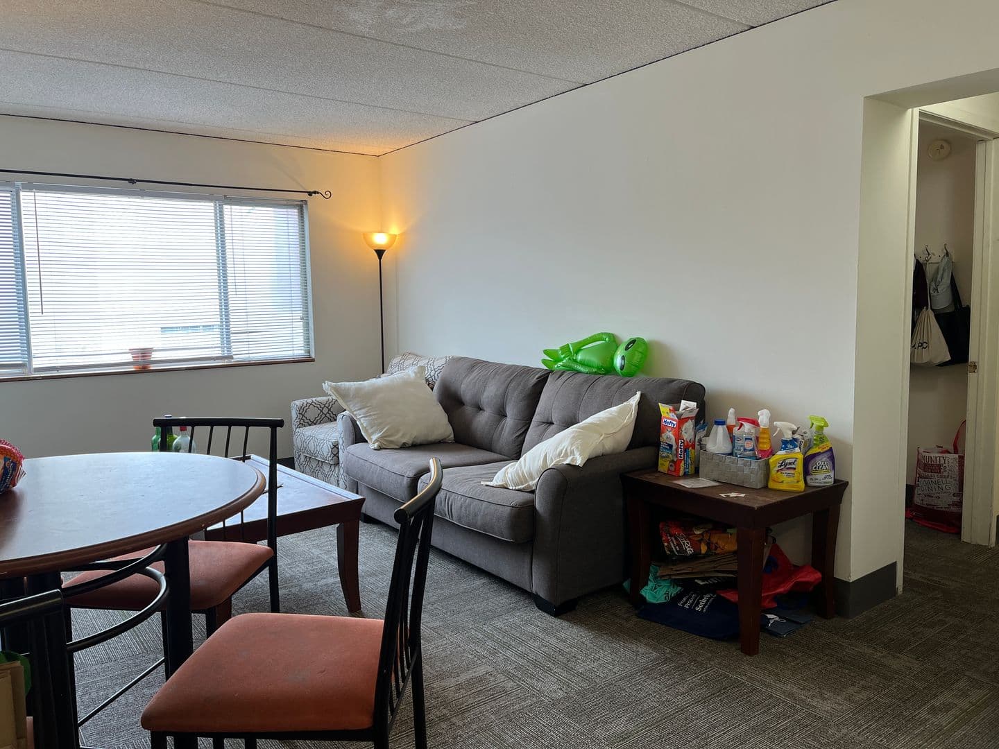 Ithaca Apartment: 110 Dryden Rd