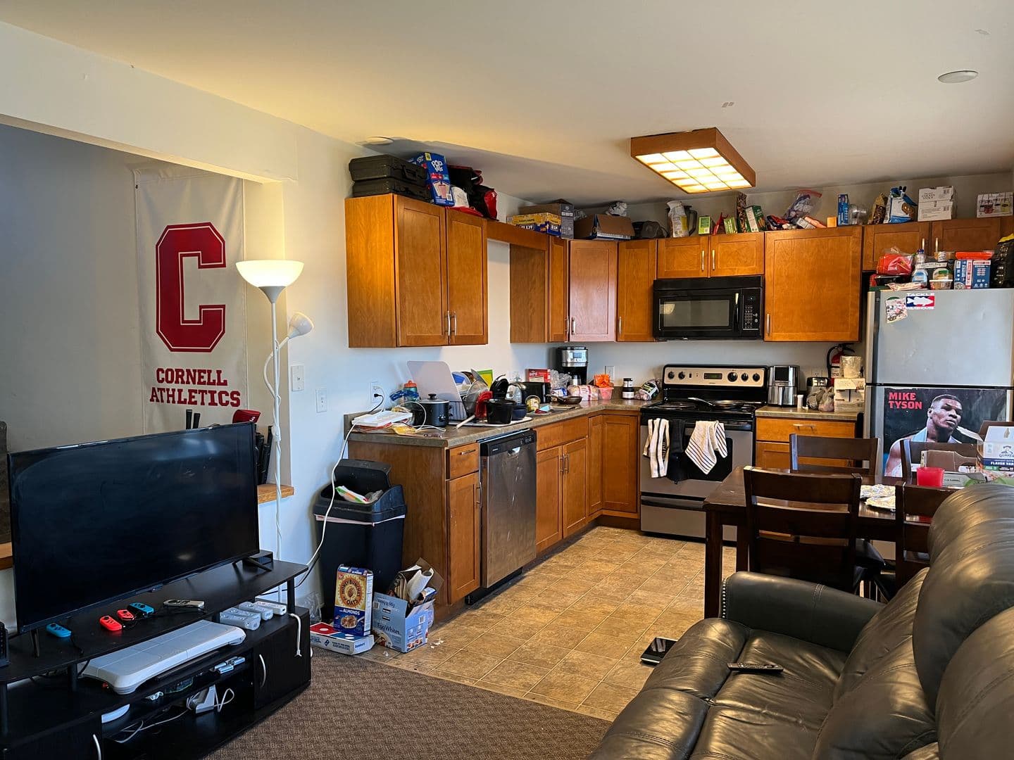 Ithaca Apartment: 516 University Ave