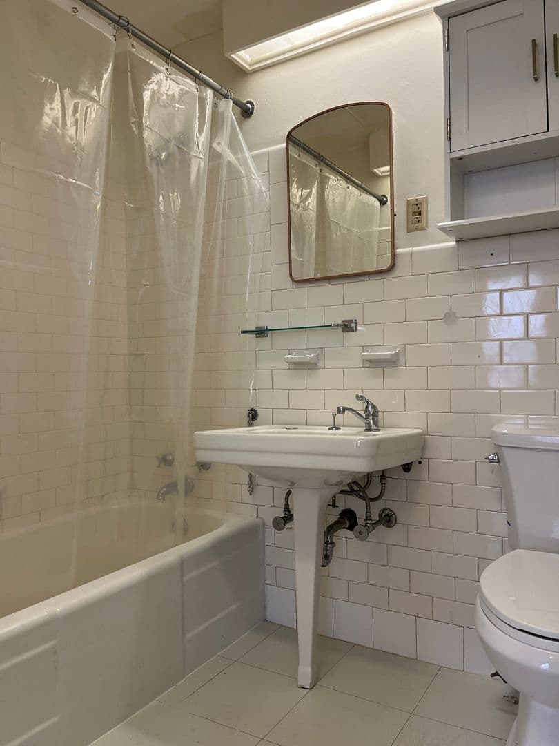 Ithaca Apartment: 100 W Buffalo St