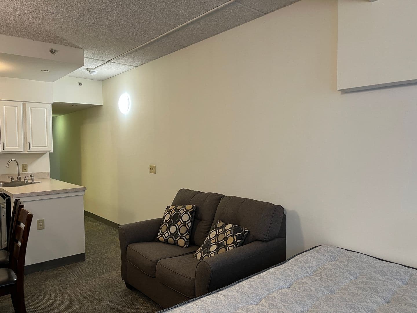 Ithaca Apartment: 407 College Ave
