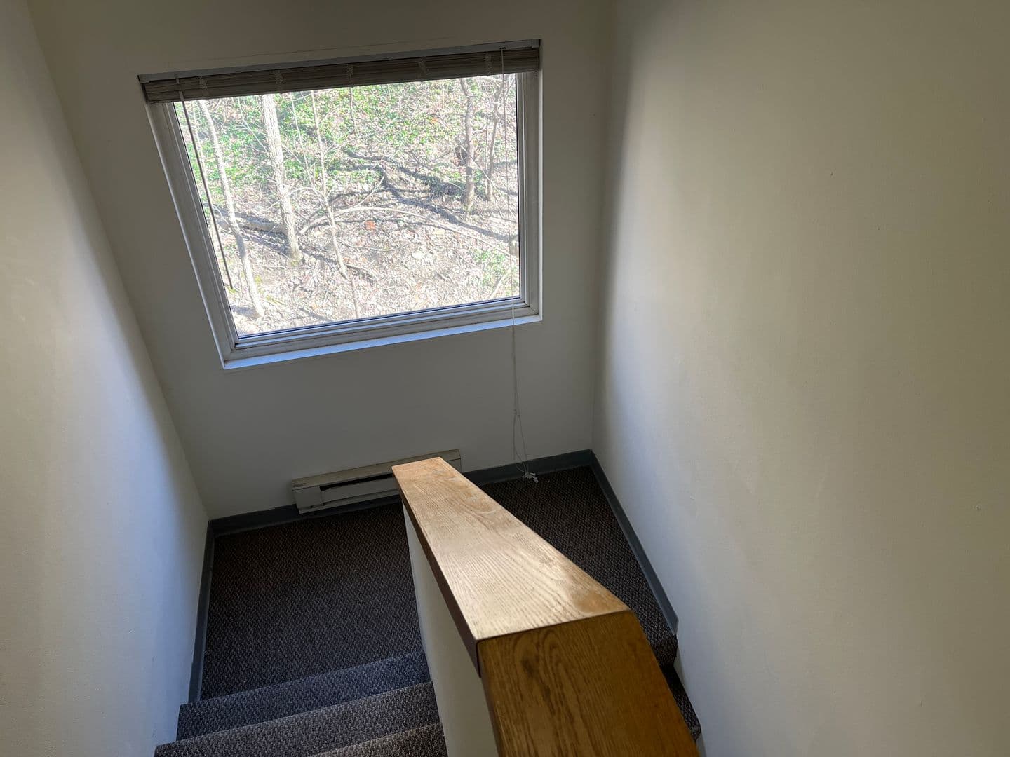 Ithaca Apartment: 516 University Ave